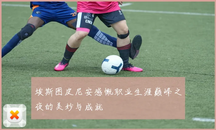 埃斯图皮尼安感慨职业生涯巅峰之夜的美妙与成就